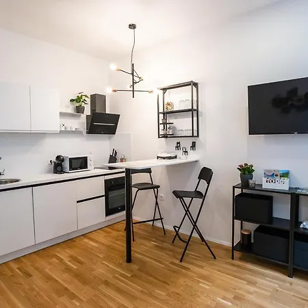 Loni's Place Apartment Laibach